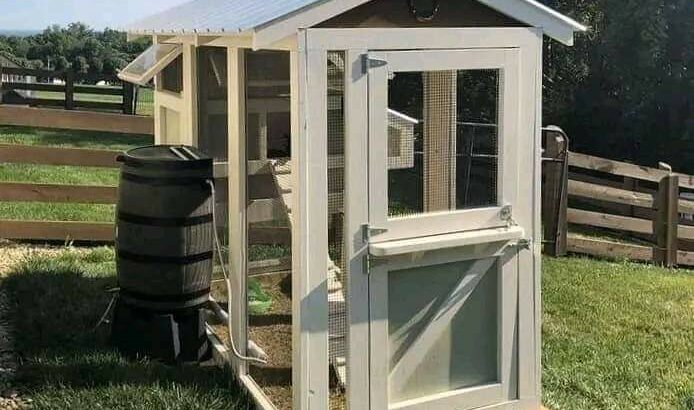 MODERN CHICKEN COOPS AVAILABLE